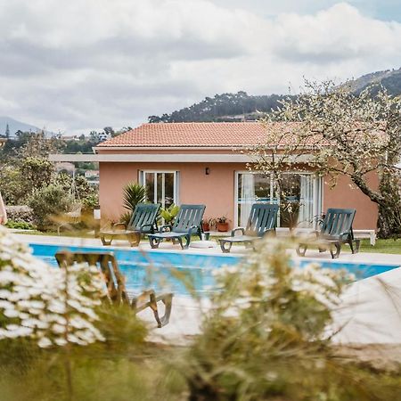 Forno House - Ameixoeira Vila Praia de Âncora Dış mekan fotoğraf